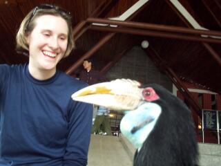 Jeanie with a very friendly exotic bird.